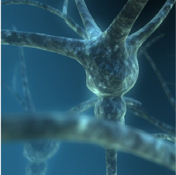 Neurocirugía